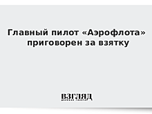 Суд оштрафовал главного пилота «Аэрофлота» Якимчука на 250 тыс. рублей