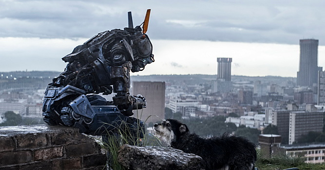 Когда роботы и ИИ заслужат человеческих прав?