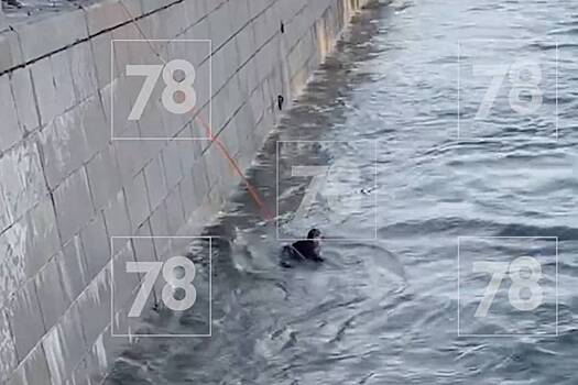 В Петербурге второй за день автомобиль улетел в реку