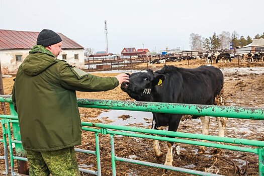 Как сделать жизнь в сибирском селе не хуже, чем в городе