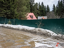 Жители Тулы требуют решения проблем с дорогами