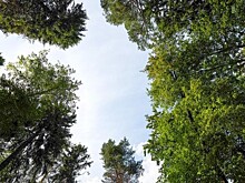 В подкасте «Про Мой район» опубликован новый выпуск, посвященный Обручевскому району