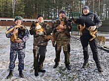 На службу в кировские колонии прибыли 10 щенков