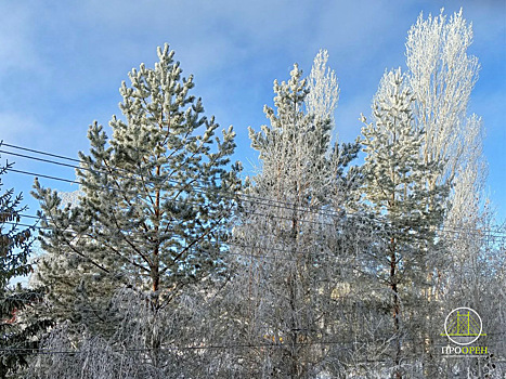 Морозная суббота без осадков: прогноз погоды в Оренбуржье на 7 февраля