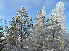 Морозная суббота без осадков: прогноз погоды в Оренбуржье на 7 февраля