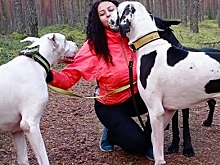 Жительница Пскова нашла новый дом 18 собакам-инвалидам и отказникам