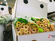 Накануне 8 Марта центр Екатеринбурга превратится в цветочную ярмарку