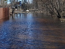 Курганцев предупредили об угрозе подтопления из-за аномально теплой погоды