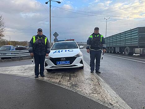 Автомобилист поблагодарил инспекторов ДПС за помощь на трассе М-4 &laquo;Дон&raquo;