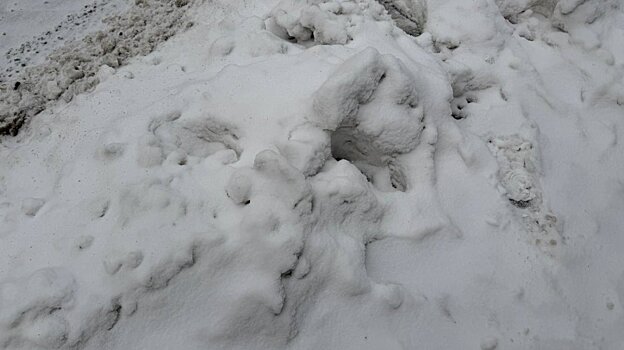 Губернатор прокомментировал жалобы на нечищеные дворы