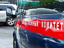 Следком Башкирии выдвинул обвинение по факту смерти 16-летней девушки из-за пьяного водителя