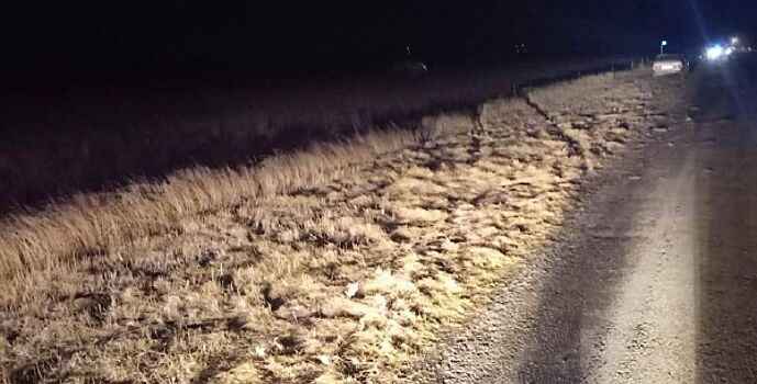 На донской трассе погиб мужчина