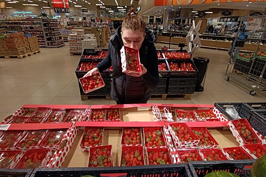Почему клубники в столице много, а цены не снижаются?