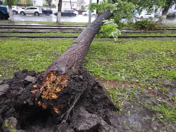 Трамваи стоят, автобусы идут в объезд: последствия ураганного ветра в Самаре