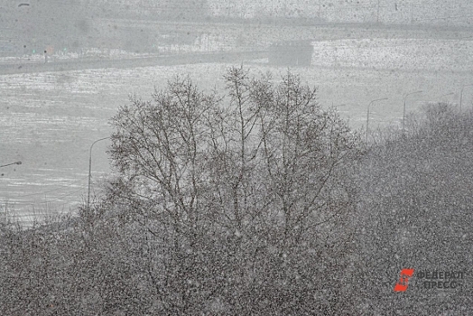 В Челябинской области выпал снег