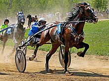 «ФотоФест-2021» приглашает профессионалов и фотолюбителей