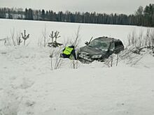 В Прикамье полицейские спасли водителя и пассажира, вылетевших с трассы