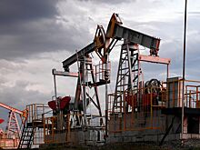 Сечин назвал приемлемую цену нефти Urals