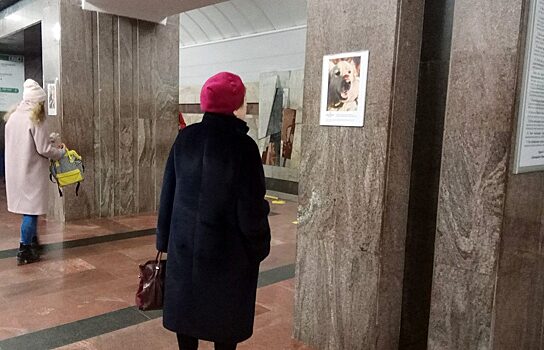 В екатеринбургском метро открылась фотовыставка о собаках-поводырях