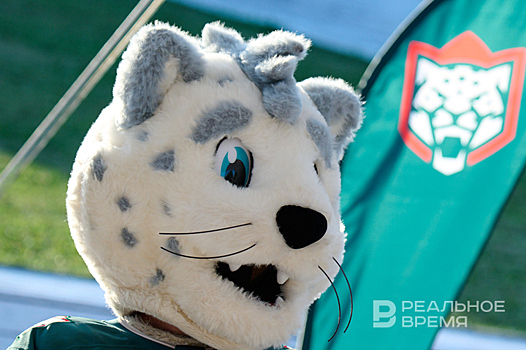 Криобанк биоматериалов и увеличение популяции: чем займется центр по сохранению снежных барсов в Татарстане