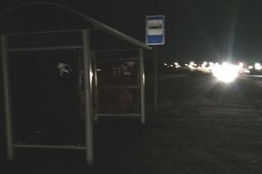 Не дождался автобуса вечером на остановке в отдаленном районе мэр Бердска
