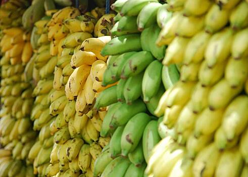 В Греции в контейнерах с бананами нашли 161 килограмм кокаина