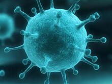 Ученые приблизились к созданию универсальной вакцины от гриппа