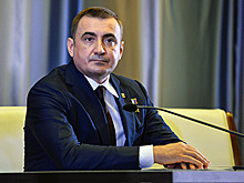Глава Тульской области пообещал прекратить цыганский беспредел в Плеханово