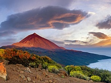 Ученые нашли на Канарах урожай, который сеяли еще две тысячи лет назад