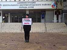 ЕСПЧ принял жалобу сочинского врача Юлии Волковой, оштрафованной за проведение пикета