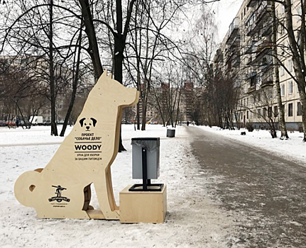 В Петербурге установили урну для уборки за питомцами в виде огромной деревянной собаки