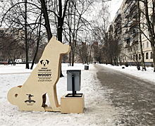 В Петербурге установили урну для уборки за питомцами в виде огромной деревянной собаки