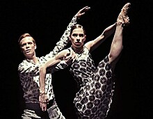 Нидерландский театр современного танца привез балеты в Москву