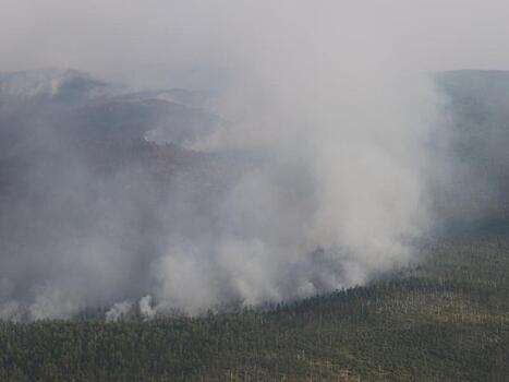 Дым от пожаров из соседних регионах принесло ветром в Забайкалье