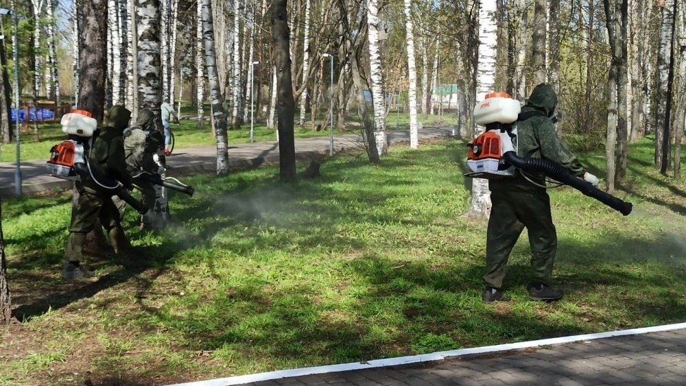 В Кирове начали обрабатывать парк Победы от клещей