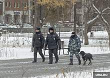 Главк МВД: пермские полицейские пока не принимают участие в СВО