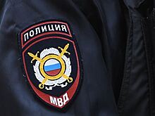 Иностранка вызвала полицию для молчаливой жертвы грабежа на севере Москвы