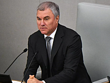 Володин отчитал глав комитетов Госдумы за прогулы