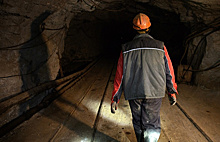 Голодающие шахтеры отказались ехать к губернатору Ростовской области