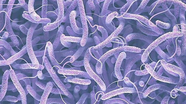 Как бактерии получают устойчивость к антибиотикам