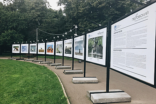 Выставка «Животные России» пройдет в Перовском парке Москвы до 31 августа