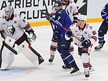«Торпедо» и «Чайка» выиграли матчи в КХЛ и МХЛ
