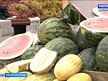 Власти Калининграда будут изымать товар у незаконных торговых точек