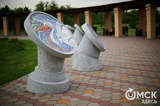 Мозаичные пернатые в "Птичьей гавани" могут получить "крылья"