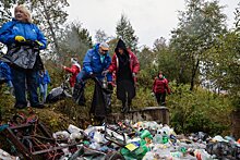 Петербуржцы устали от показного благоустройства парков