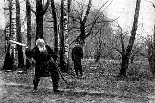 Лев Толстой: сколько мог пожать великий русский писатель