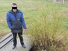 Свердловчанина посадили на 17 лет за убийство пенсионерки
