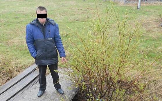 Свердловчанина посадили на 17 лет за убийство пенсионерки