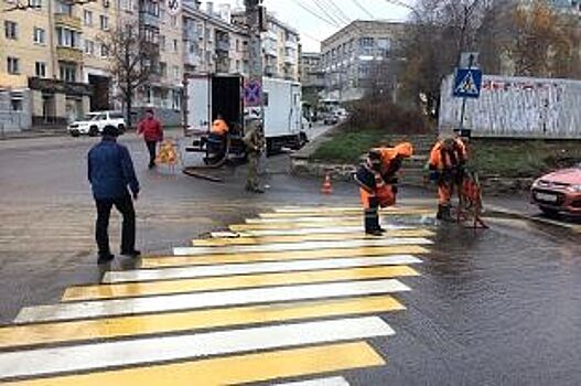 В Рязани на пешеходном переходе сбили мать с сыном