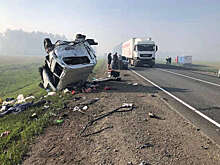В Омской области фура протаранила микроавтобус, два человека погибли